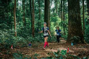 BIB: 
                            <button type="button" onclick="openModal(26135567)" class="btn btn-primary btn-sm float-right btn-popup" data-toggle="modal" data-target=".modal-high-quality">
                        <i class="fas fa-shopping-cart"></i> Add to Cart
                    </button>
                                            <button type="button" onclick="isThisMe(26135567, true)" class="btn btn-success btn-sm float-right btn-popup btn-isme hidden" data-toggle="tooltip" data-placement="bottom" title="นี่คือรูปของคุณใช่ไหม คลิกที่นี่เพื่อเอาเข้าอัลบั้ม">
                        <i class="fas fa-plus"></i> Add to album
                    </button>
                    <button type="button" onclick="isThisMe(26135567, false)" class="btn btn-warning btn-sm float-right btn-popup btn-isnotme hidden">
                        <i class="fas fa-ban"></i> Remove from album
                    </button>